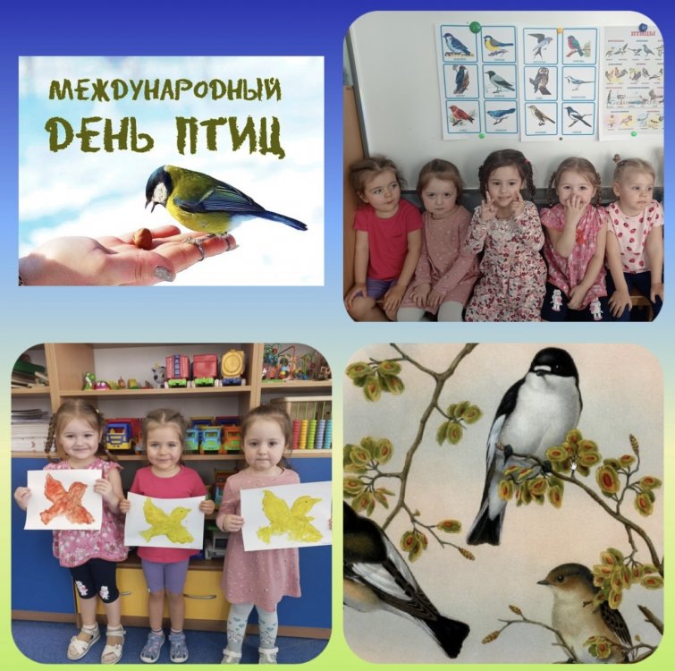 img (10)